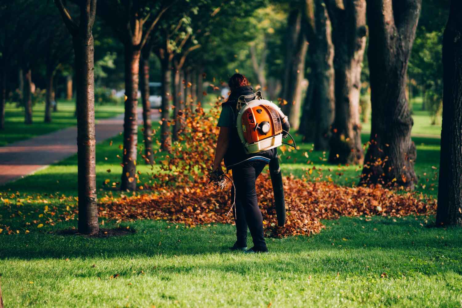 Best Dead Tree Removal  in Deale, MD